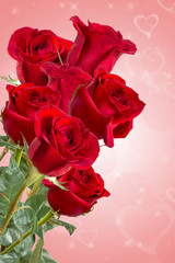 Image with red roses.