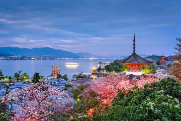 Fototapeta premium Miyajima, Japan in Spring