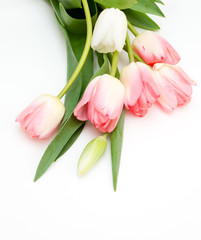 Bouquet of spring tulips on a white background.