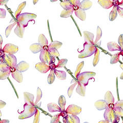 Seamless floral pattern, Orchid flowers watercolor hand drawn botanical illustration isolated on white background for design package cosmetic, greeting card, wedding invite, florist shop, beauty salon