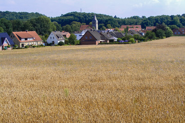 Brochterbeck am Teuto