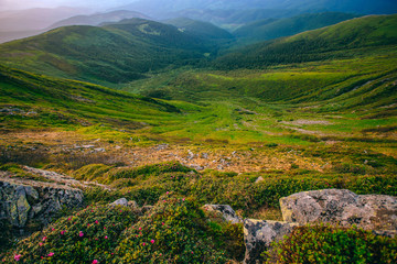 Mountain valley during sunrise / sunset. Natural summer landscape. Colorful summer landscape in the Carpathian mountains. Stone surface