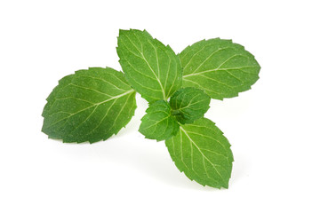 Fresh mint leaves closeup isolated on white background