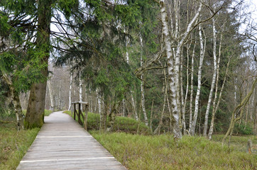 Fototapeta premium Das Rote Moor (Rhön)