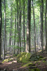 Ebersberger Felsenmeer