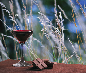 Red wine glass with chocolate and beautiful autumn field