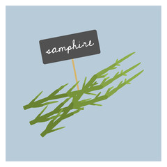 Vector Vegetable - Samphire - 143429319