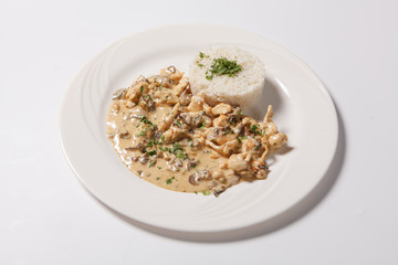 stewed chicken with white rice and mashroom sauce