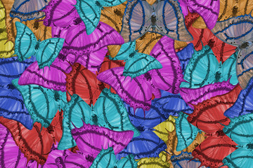 Colorful background made of butterflies wing