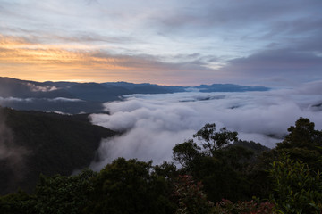 Cloudscape in Chapare, Bolivia