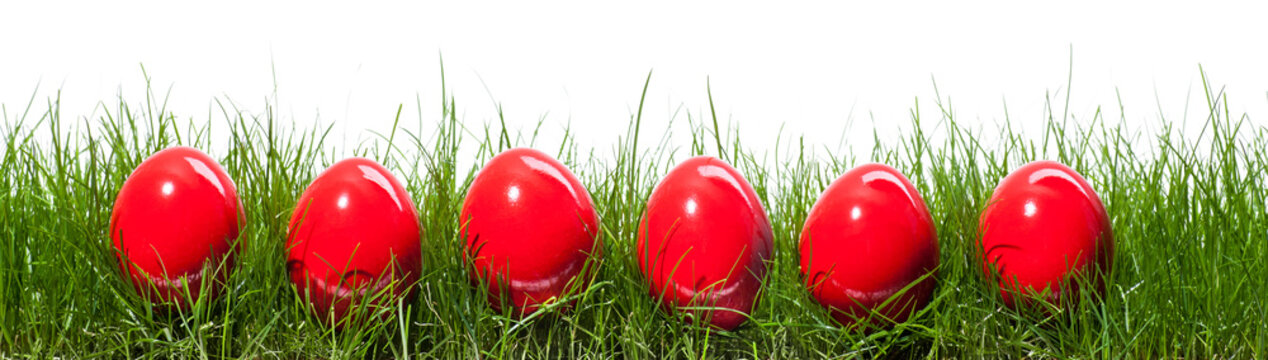 six red easter eggs in isolated grass