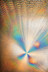 Ascorbic Acid crystallized, seen through the microscope in polarized light 