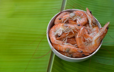 shrimp