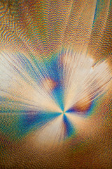 Ascorbic Acid Cristallised seeh through microscope in polarised light