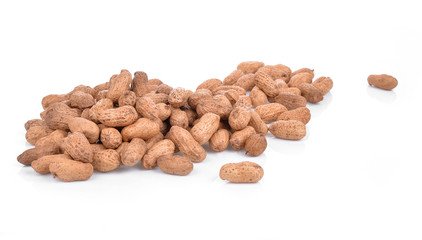 Peanut isolated on white background (peanut)