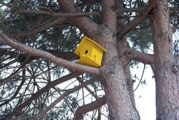 Yellow birdhouse hanging from tree