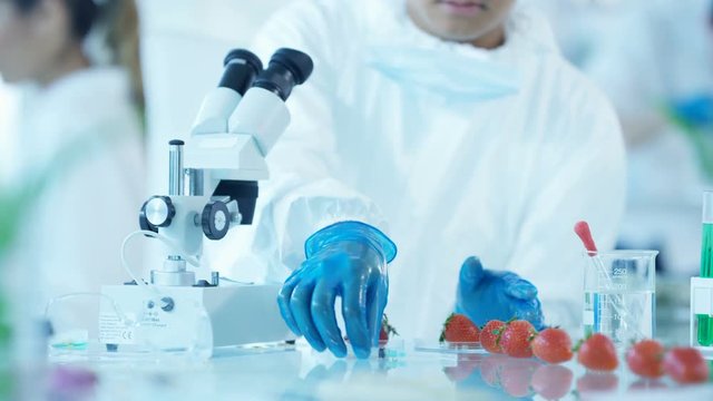  Food science researchers working in lab, man injecting chemicals into fruit