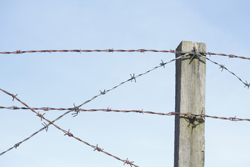 Stacheldrahtzaun mit Zaunpfahl