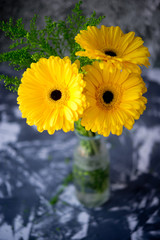 Bouquet from yellow gerberas

