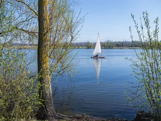 Wall murals Sailing A sailing dinghy and its reflection on a peaceful blue lake, conningbrook lakes country park, with trees in the foreground.
