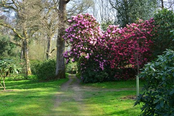 The gardens of an English country estate in Springtime.

