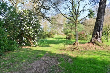 The gardens of an English country estate in Springtime.
