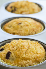 Tin of Large Fresh Blueberry Muffins