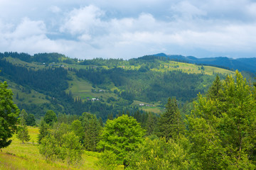 Local rural landscape of mountain village in the Carpathians