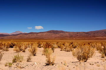 Desert of puna in Argentina