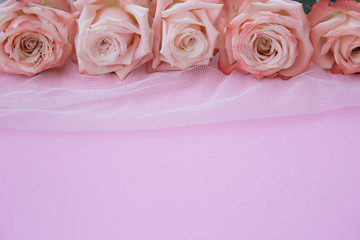 rose, flower, background, romance