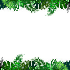 Fototapeta na wymiar Tropical foliage. Floral design background. Vector template