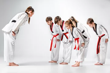 Tuinposter The studio shot of group of kids training karate martial arts © master1305