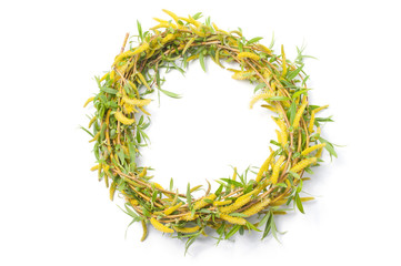 Wreath of weeping willow on white background © Bokeh Art Photo