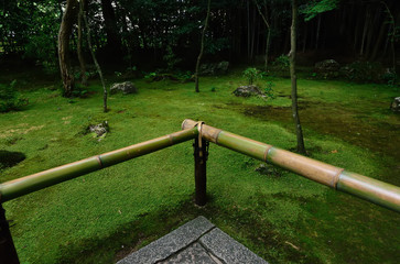 mossy Japanese garden, Kyoto Japan
日本庭園