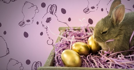 Easter Rabbit with eggs and pattern