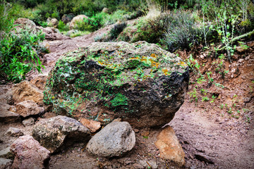 Closeup of large rock in desert of Arizona, USA