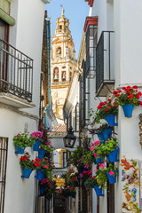 Calleja de las Flores in Cordoba, Spain