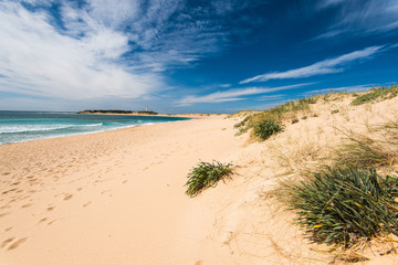 Fototapeta na wymiar Zahara de los Atunes sandy beach and dunes,Spain