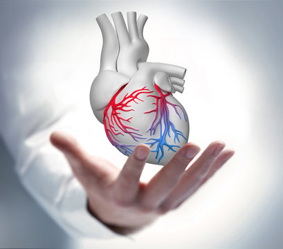 Hand mit wei&szlig;em Herz