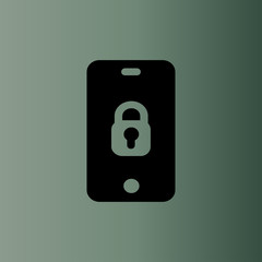 Internet security concept icon.flat design
