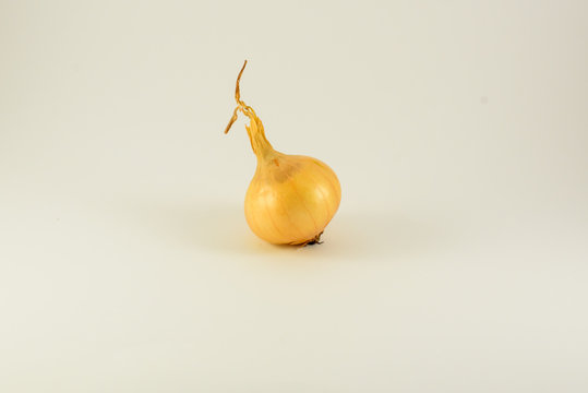 Napiform onion isolated on white background