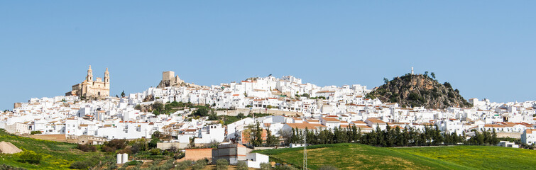 Fototapeta na wymiar Olvera in Cadiz province, Spain