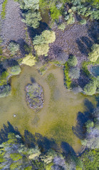 Natura e paesaggio: vista aerea di un bosco e di laghi, verde ed alberi in un paesaggio di natura selvaggia