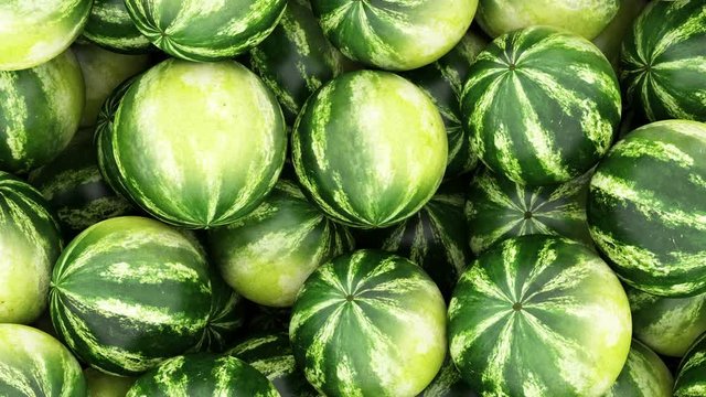 Seamless Looping 4K Animation of Heap of Watermelons Abstract Background