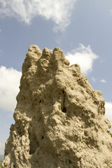 Termite mound, Tanzania, Africa