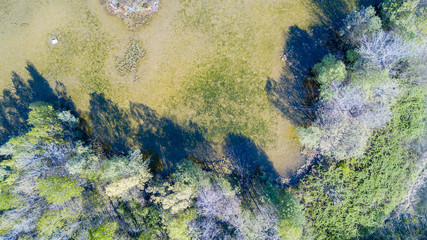 Natura e paesaggio: vista aerea di un bosco e di laghi, verde ed alberi in un paesaggio di natura selvaggia