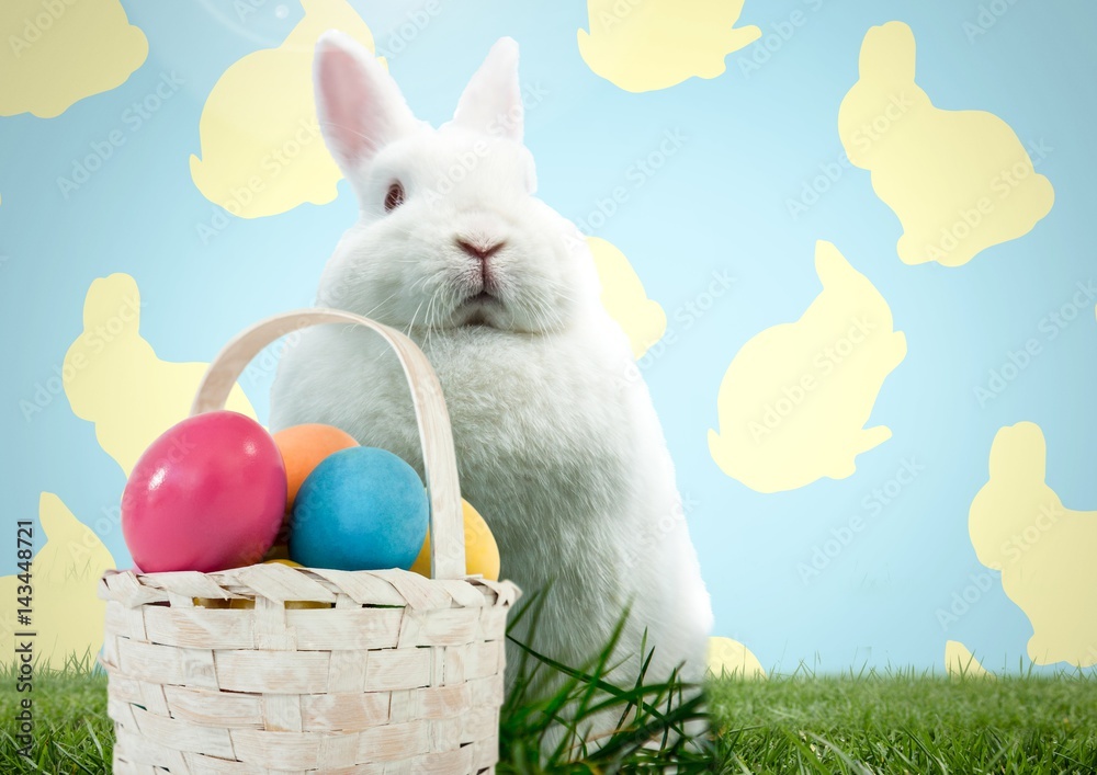 Fototapete easter rabbit with basket in front of pattern