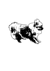 Obraz premium Silhouette dog playing vector