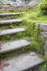 Overgrown garden steps