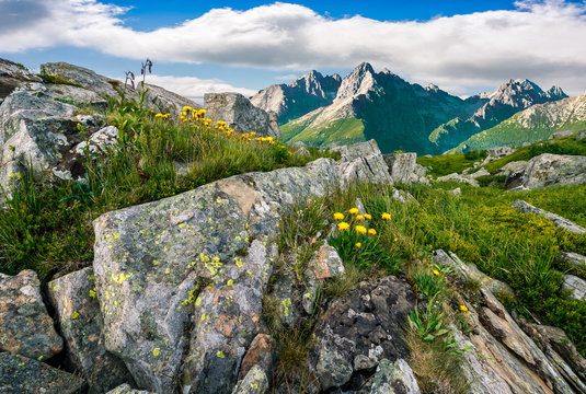 Composite image of dandelions among the rocks in High Tatra Mountain ridge in the distance. Beautiful landscape on summer day with blue sky and clouds
